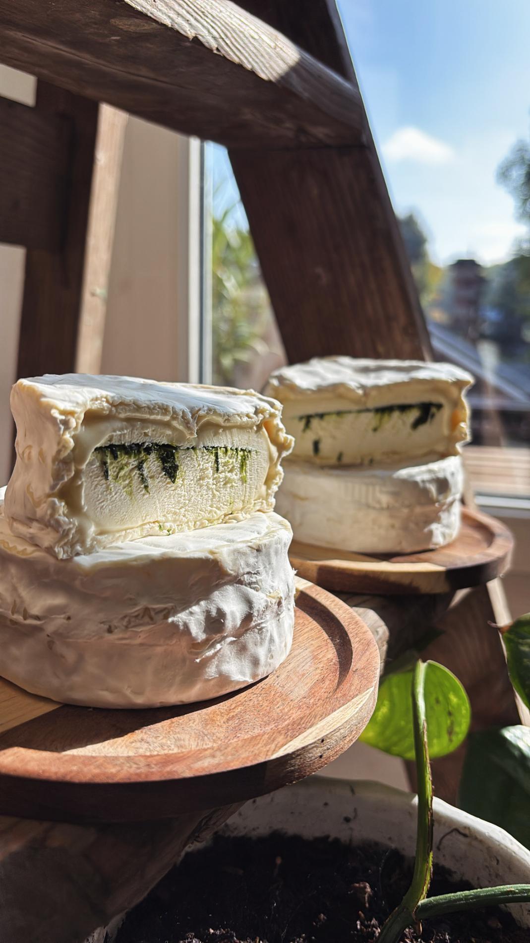Du nouveau dans votre fromagerie ! 🧀